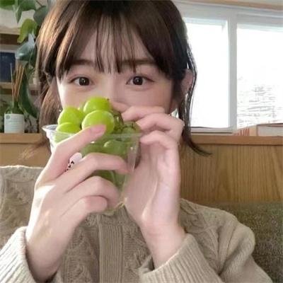 倒霉熊之茶杯旅行记